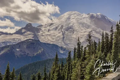 Mount Rainier National Park