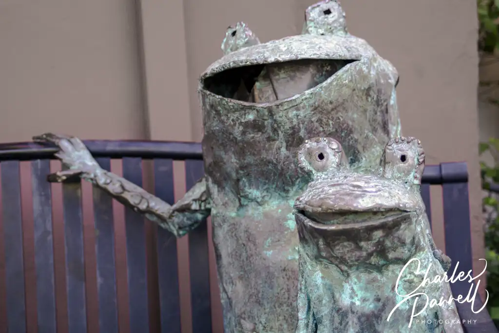 Experience the Calaveras County Frog Jump Emerging Horizons