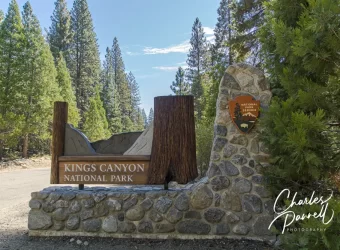 Visit the Kings Canyon Sequoias This Spring