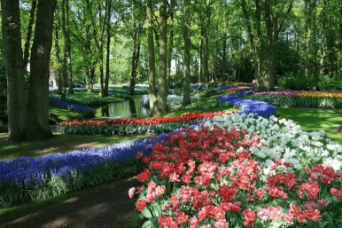 netherlandss-garden