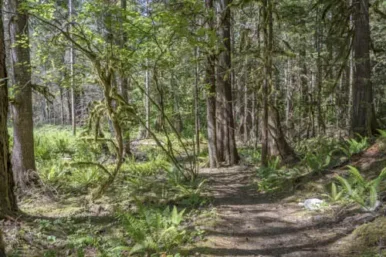 north-cascades-card
