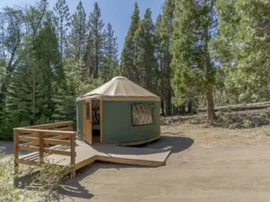 sequoia-card
