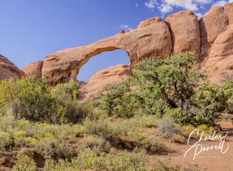 Five Filming Locations in Arches National Park