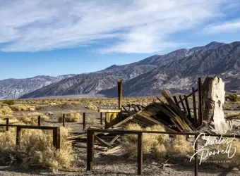 Enjoy These Easy Rider Filming Sites on Your Next Southwestern Road Trip