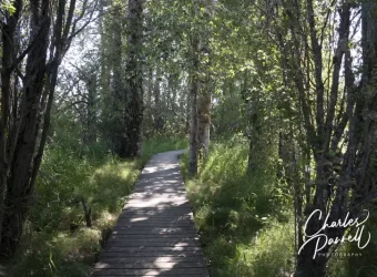 The International Selkirk Loop for Wheelchair-Users