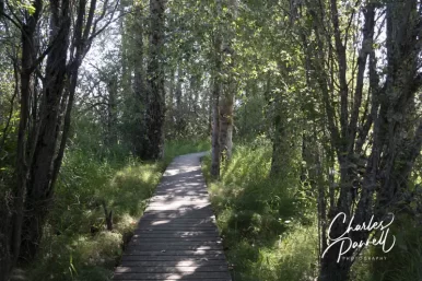 The International Selkirk Loop for Wheelchair-Users