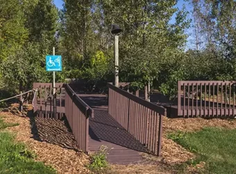 Wisconsin Orchard Offers Wheelchair-Accessible Apple Picking