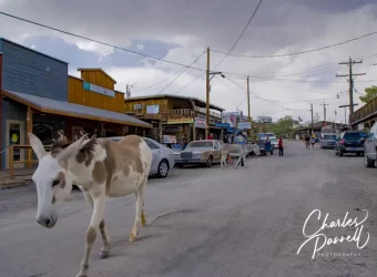 Wheelchair-Accessible Route 66 — A Great Grand Canyon Side Trip