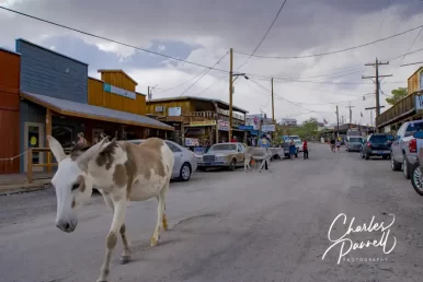 Wheelchair-Accessible Route 66 — A Great Grand Canyon Side Trip