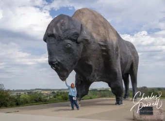 ND-Worlds-Largest-Buffalo