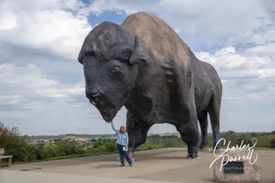 ND-Worlds-Largest-Buffalo