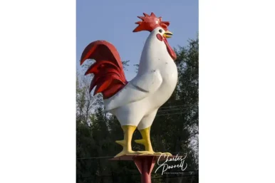 Lee’s Chicken Restaurant