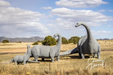 Brontosaurus Family