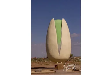 World’s Largest Pistachio