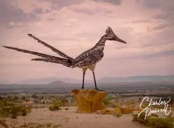 Recycled Roadrunner