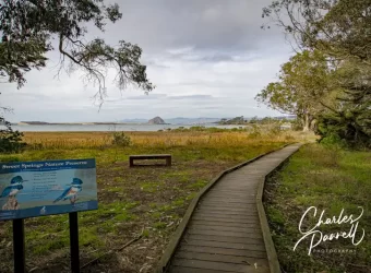 Enjoy the Morro Bay Bird Festival