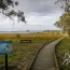 Enjoy the Morro Bay Bird Festival