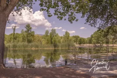 Discover Dead Horse Ranch State Park