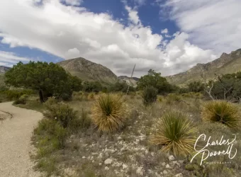 Discover Historic Guadalupe Mountains National Park