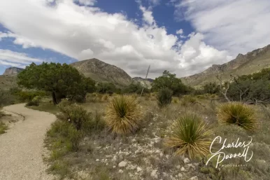 Discover Historic Guadalupe Mountains National Park