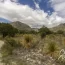 Discover Historic Guadalupe Mountains National Park