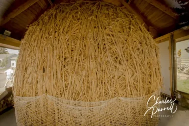 Darwin Twine Ball