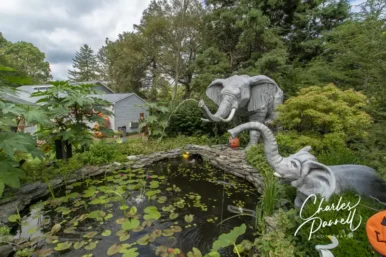 Mr. Ed’s Elephant Museum & Candy Emporium