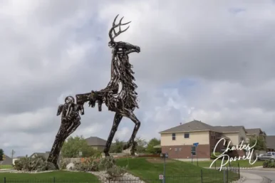 Giant Junk Stag