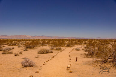 California City, California
