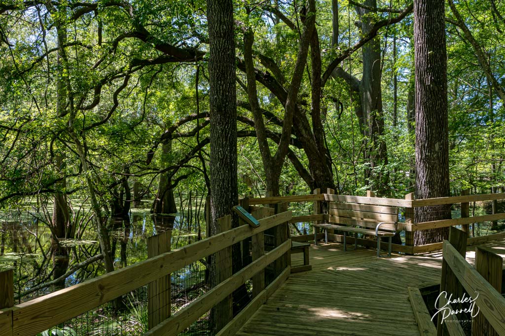 Fanning Springs, Florida