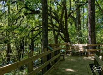Fanning Springs, Florida