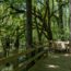 Fanning Springs, Florida