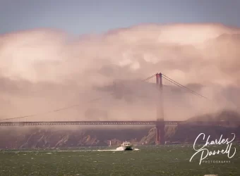 San Francisco in a Wheelchair