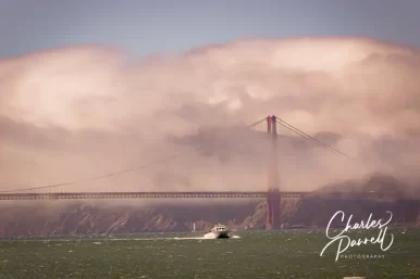 San Francisco in a Wheelchair