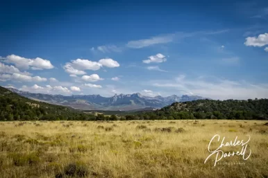 Explore Wheelchair-Accessible Ridgway State Park