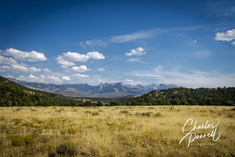 Explore Wheelchair-Accessible Ridgway State Park