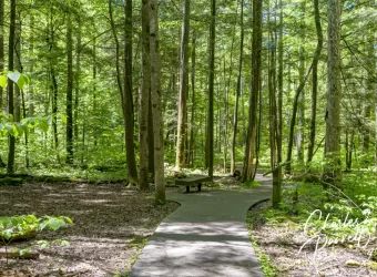 A Wheelchair-Accessible Smoky Mountain Day Trip