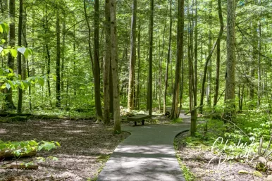 A Wheelchair-Accessible Smoky Mountain Day Trip