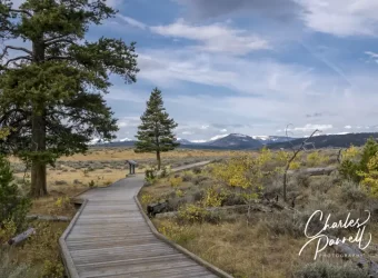 Five Favorite Wheelchair-Accessible National Parks