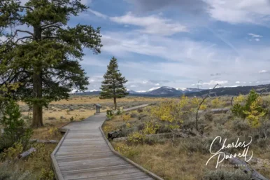 Five Favorite Wheelchair-Accessible National Parks