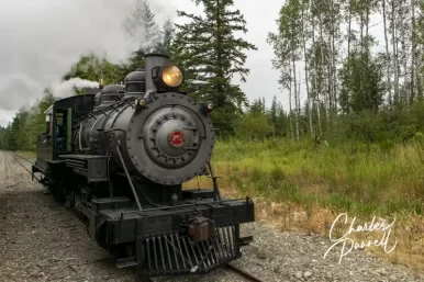 All Aboard the Mt. Rainier Scenic Railroad!