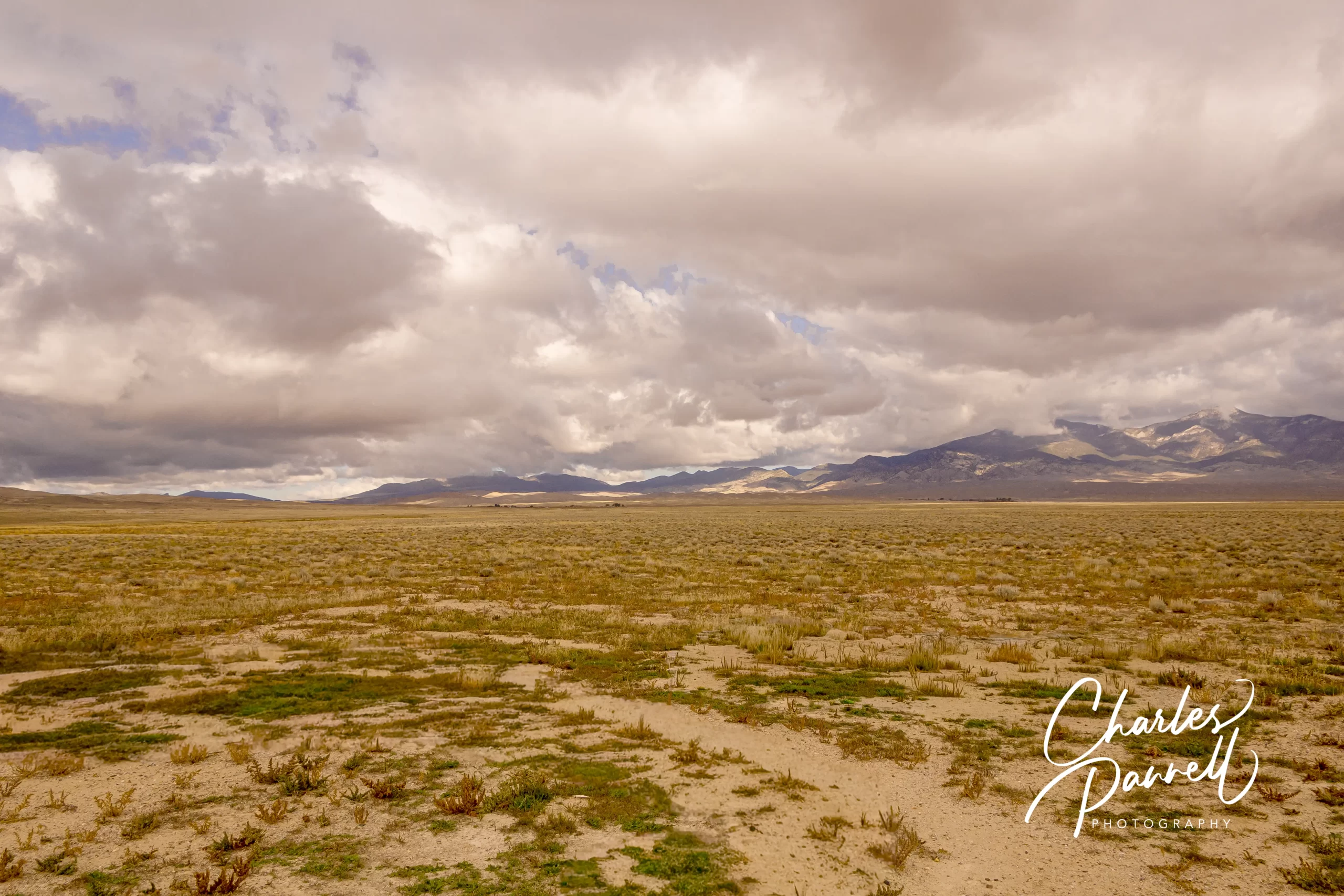 Escape the Crowds in Great Basin National Park