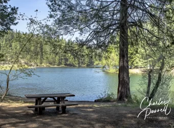 Check Out These Five Calaveras County Picnic Areas