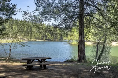 Check Out These Five Calaveras County Picnic Areas