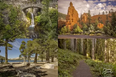 Six Must-Do Western Road Trips