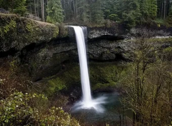 Kelvin Kay, CC BY-SA 3.0 <https://creativecommons.org/licenses/by-sa/3.0>, via Wikimedia Commons