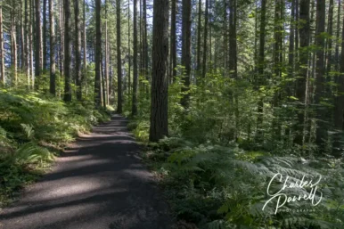 Enjoy Washington State Parks Fee-Free Days in 2026