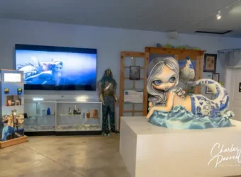 International Mermaid Museum