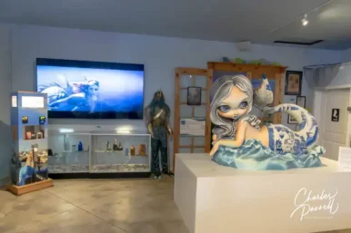 International Mermaid Museum