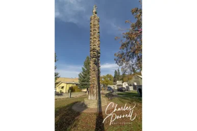 The Codger Pole